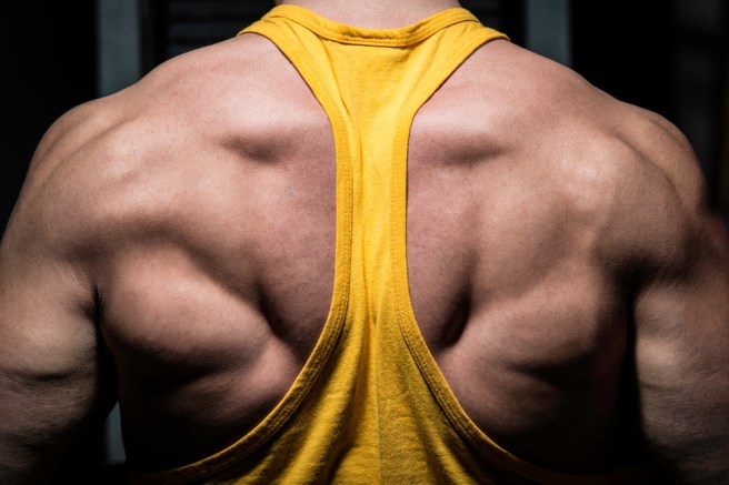 muscle-building-back